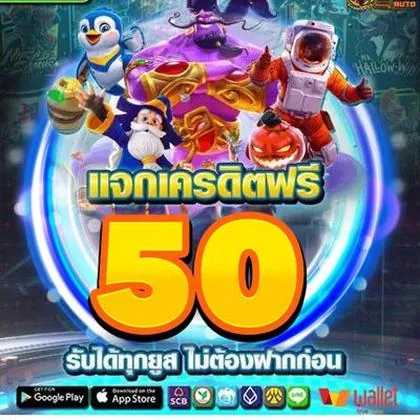 KK456 KK456